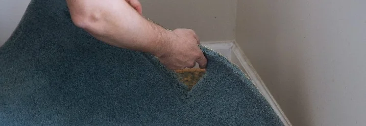 Person entfernt Teppichboden